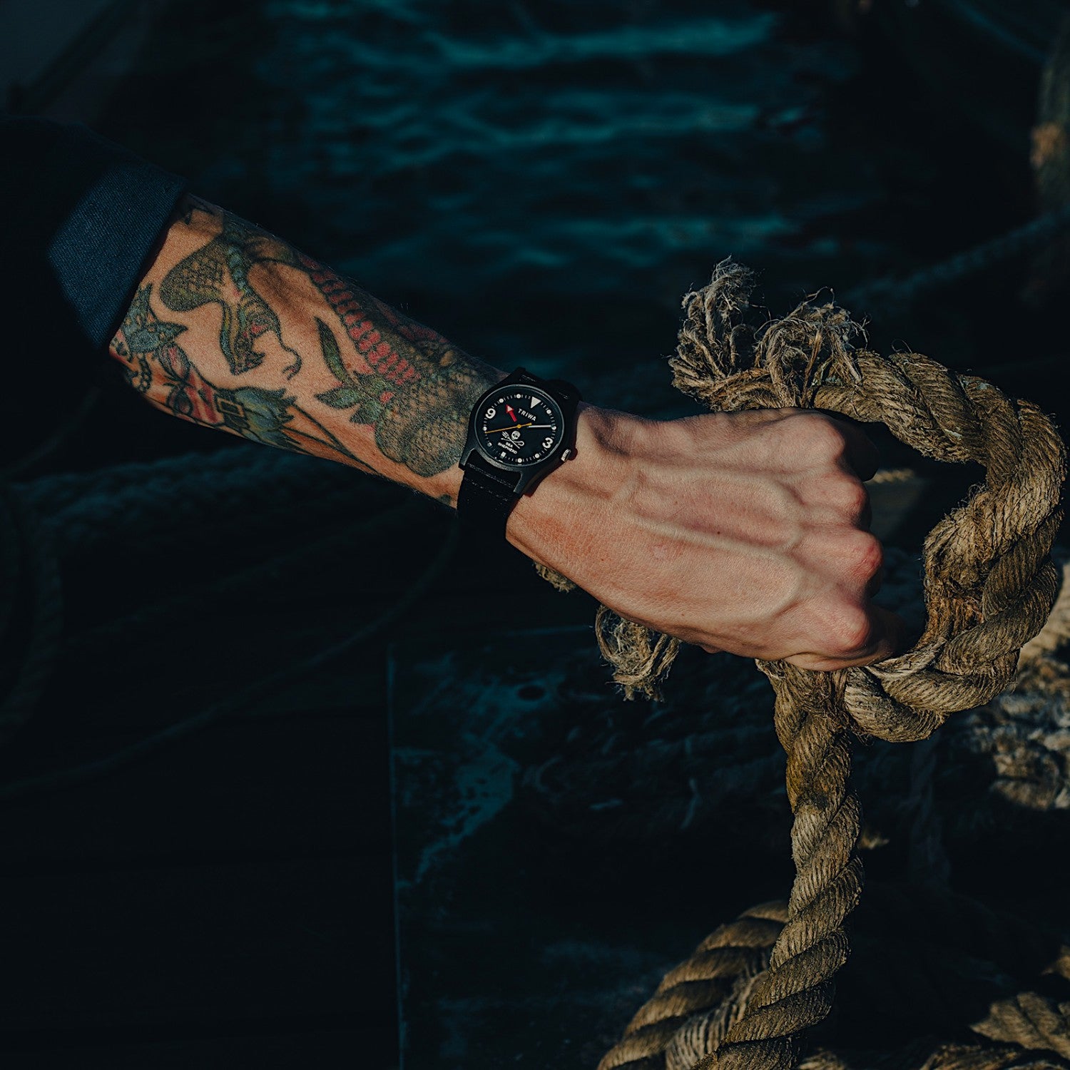 Sea Shepherd