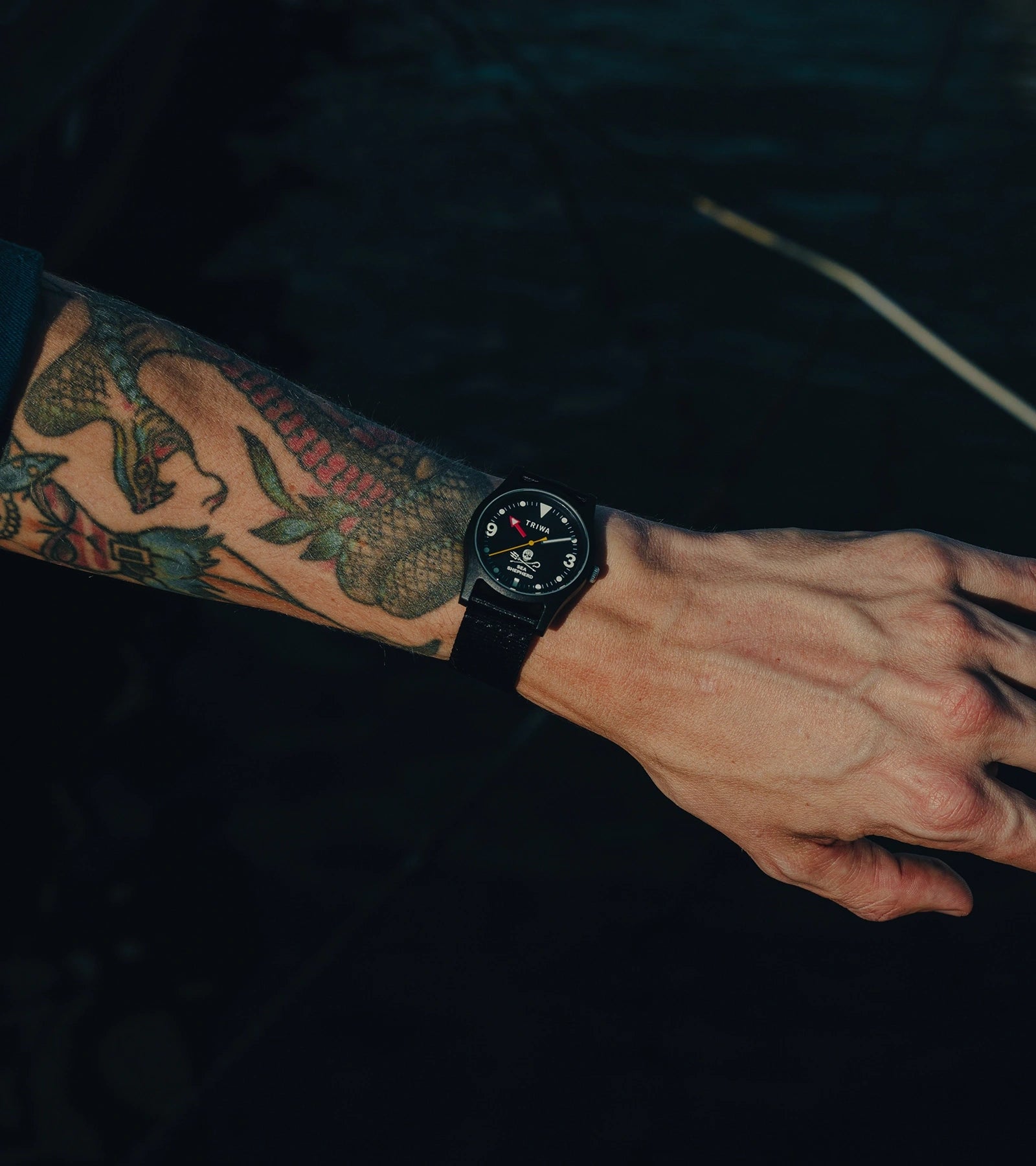 Sea Shepherd