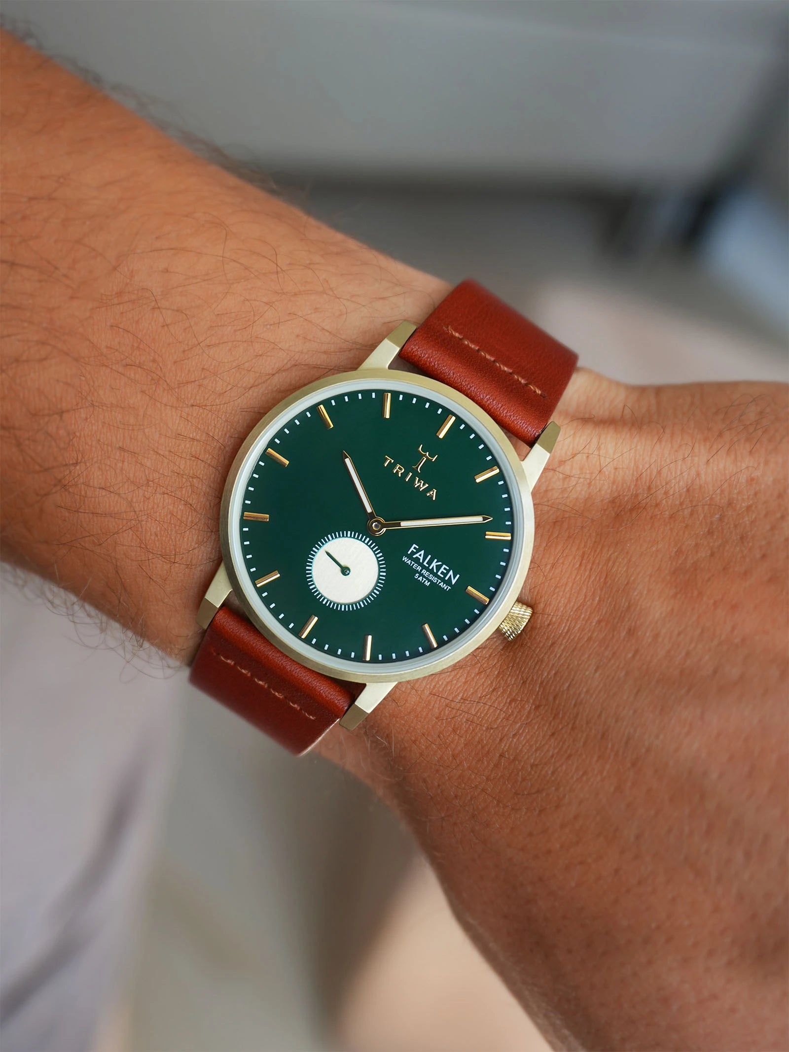 Pine Falken